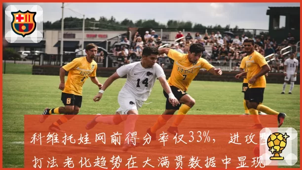 科维托娃网前得分率仅33%,进攻型打法老化趋势在大满贯数据中显现
