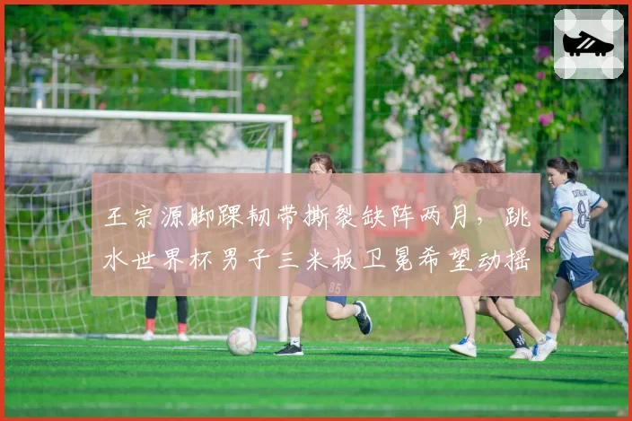 王宗源脚踝韧带撕裂缺阵两月,跳水世界杯男子三米板卫冕希望动摇?