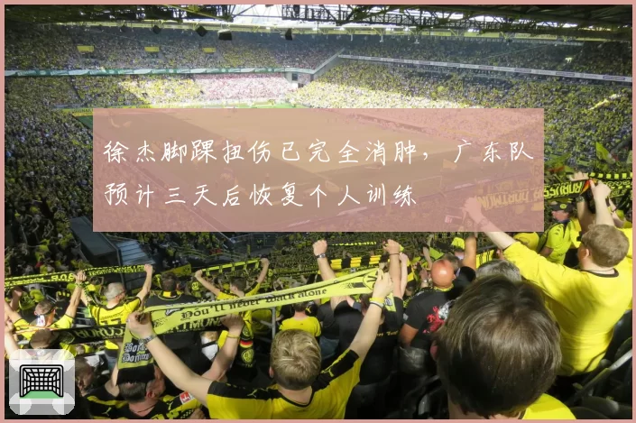 徐杰脚踝扭伤已完全消肿，广东队预计三天后恢复个人训练