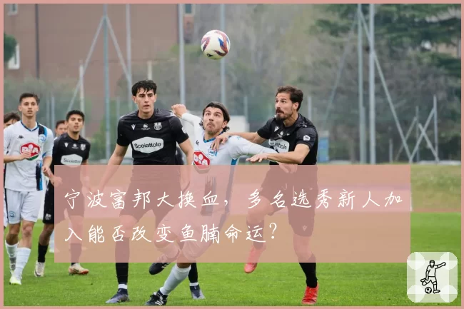 宁波富邦大换血，多名选秀新人加入能否改变鱼腩命运？